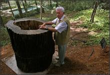 Yad Vashem honors Czech ‘righteous tree’