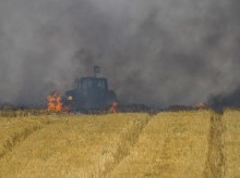 Burning kites from Gaza damage Israeli farms, wildlife